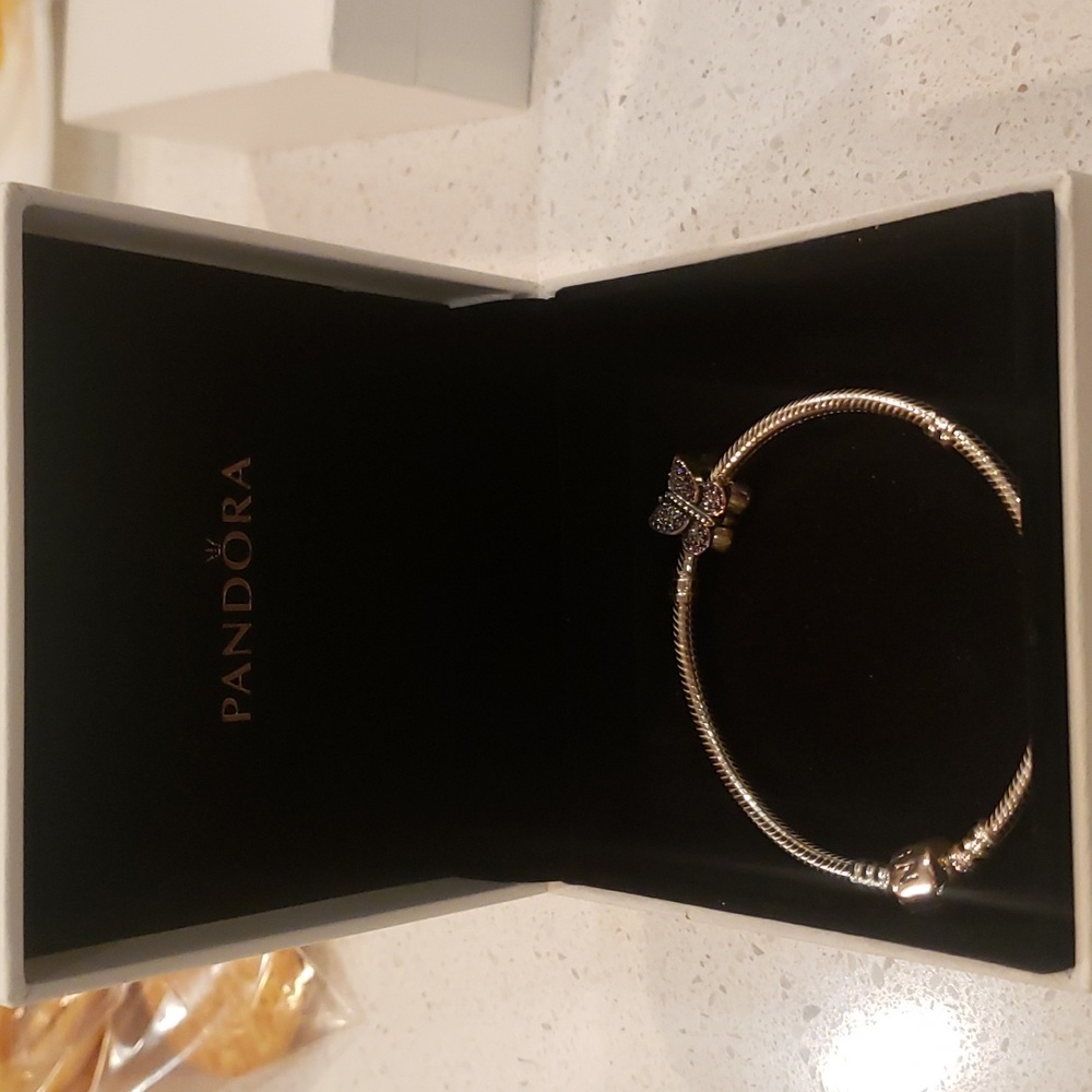 Pandora bracelet and pandora charm